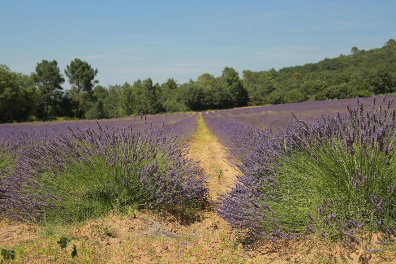 Les Yourtes De Provence Saint-Paulet-de-Caisson Exteriör bild